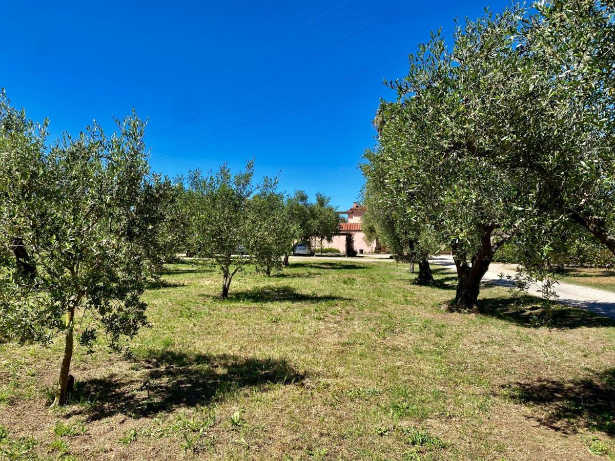 Residence Terme Isola D'Elba Srl Portoferraio Exteriör bild